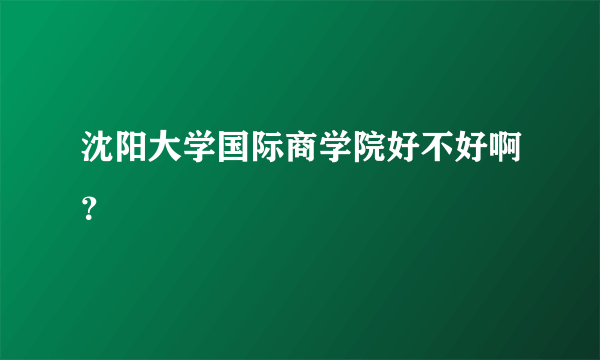 沈阳大学国际商学院好不好啊？