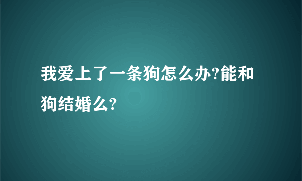 我爱上了一条狗怎么办?能和狗结婚么?