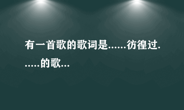 有一首歌的歌词是......彷徨过......的歌名是什么