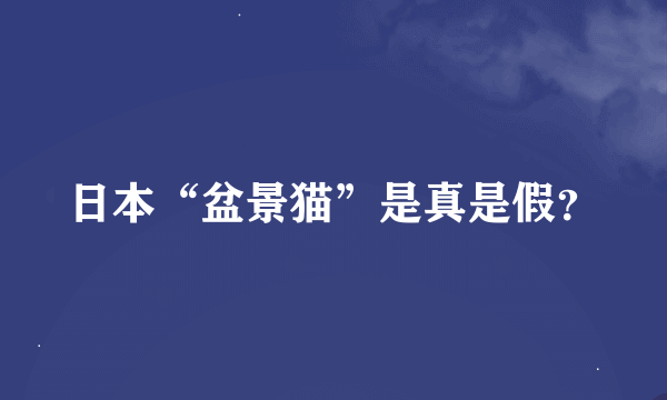 日本“盆景猫”是真是假？