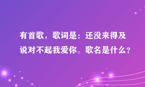 有首歌，歌词是：还没来得及说对不起我爱你。歌名是什么？