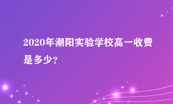 2020年潮阳实验学校高一收费是多少？