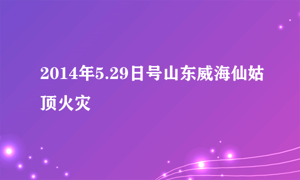 2014年5.29日号山东威海仙姑顶火灾