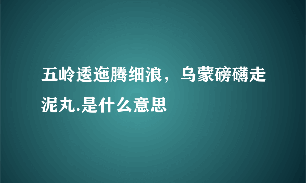 五岭逶迤腾细浪，乌蒙磅礴走泥丸.是什么意思