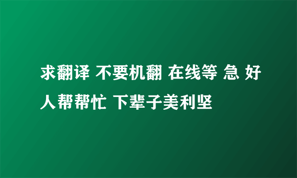 求翻译 不要机翻 在线等 急 好人帮帮忙 下辈子美利坚