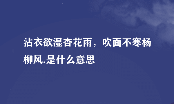 沾衣欲湿杏花雨，吹面不寒杨柳风.是什么意思