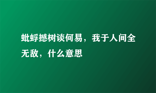 蚍蜉撼树谈何易，我于人间全无敌，什么意思