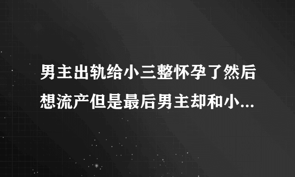 男主出轨给小三整怀孕了然后想流产但是最后男主却和小三结婚了是什么电视剧