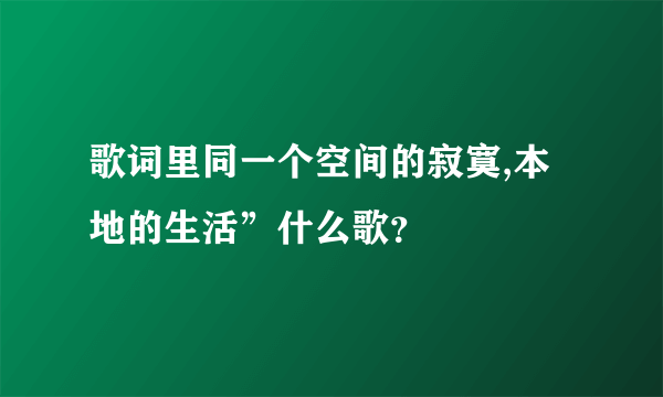 歌词里同一个空间的寂寞,本地的生活”什么歌？