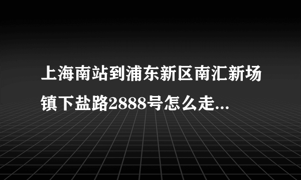 上海南站到浦东新区南汇新场镇下盐路2888号怎么走 这个是个大学叫：上海大学巴士汽车学院说