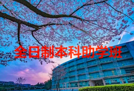 高考300分能上什么专科学校？