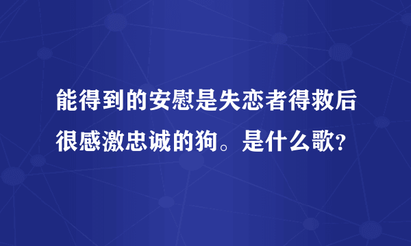 能得到的安慰是失恋者得救后很感激忠诚的狗。是什么歌？