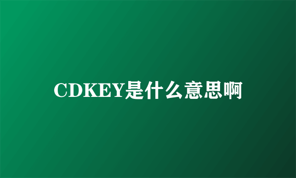 CDKEY是什么意思啊