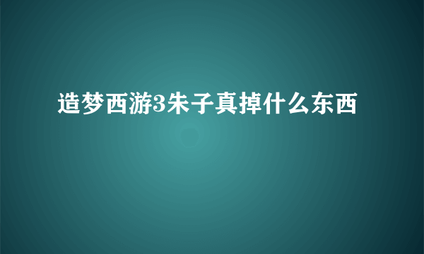 造梦西游3朱子真掉什么东西