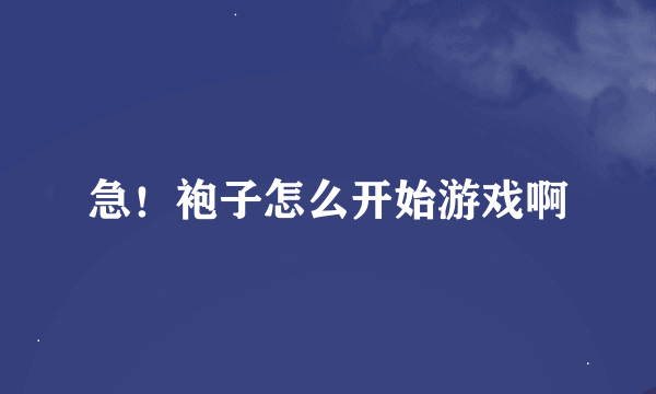 急！袍子怎么开始游戏啊