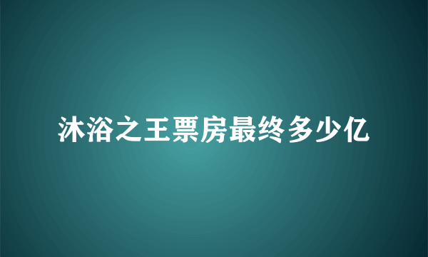 沐浴之王票房最终多少亿