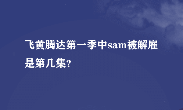 飞黄腾达第一季中sam被解雇是第几集？