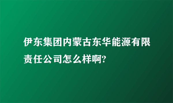 伊东集团内蒙古东华能源有限责任公司怎么样啊?