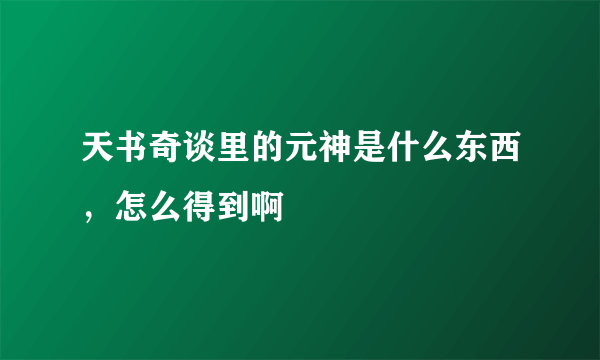 天书奇谈里的元神是什么东西，怎么得到啊