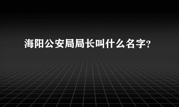 海阳公安局局长叫什么名字？