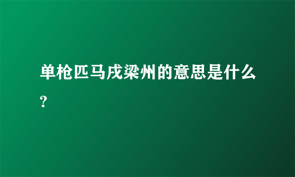 单枪匹马戌梁州的意思是什么?