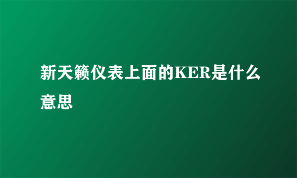 新天籁仪表上面的KER是什么意思