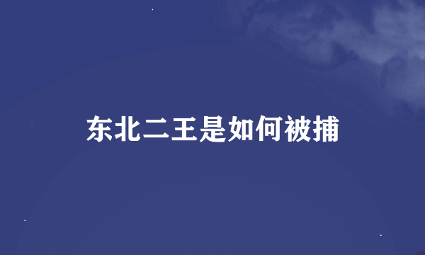 东北二王是如何被捕