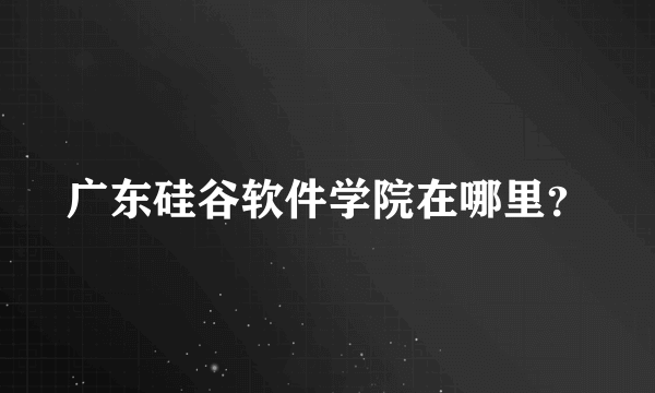 广东硅谷软件学院在哪里？