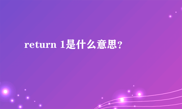 return 1是什么意思？