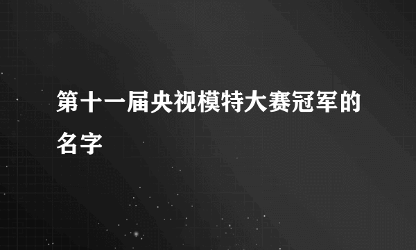 第十一届央视模特大赛冠军的名字