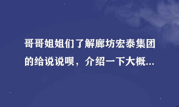 哥哥姐姐们了解廊坊宏泰集团的给说说呗，介绍一下大概的情况。谢啦！急