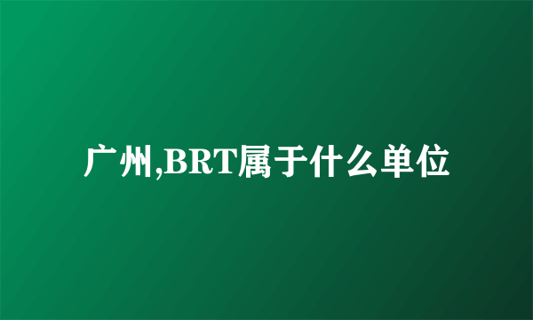 广州,BRT属于什么单位