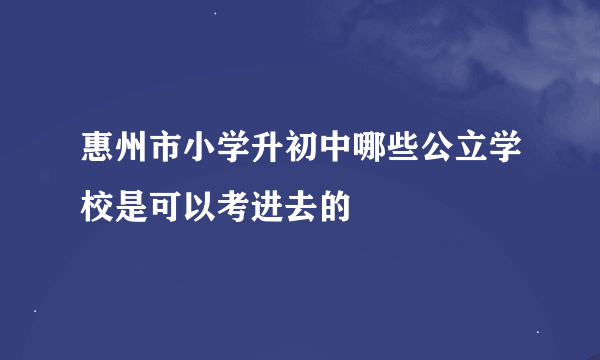 惠州市小学升初中哪些公立学校是可以考进去的