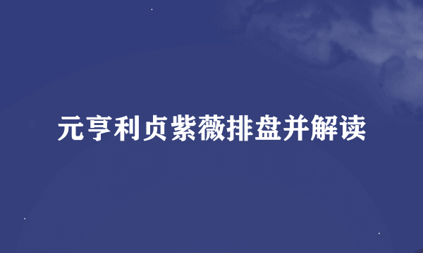 元亨利贞紫薇排盘并解读