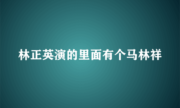 林正英演的里面有个马林祥