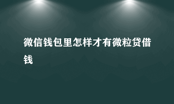 微信钱包里怎样才有微粒贷借钱