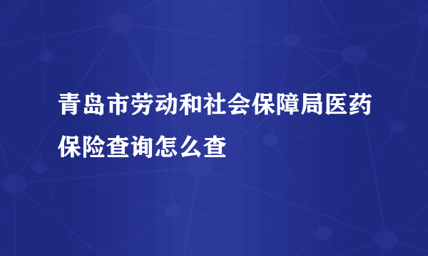 青岛市劳动和社会保障局医药保险查询怎么查