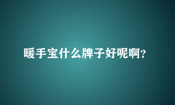 暖手宝什么牌子好呢啊？