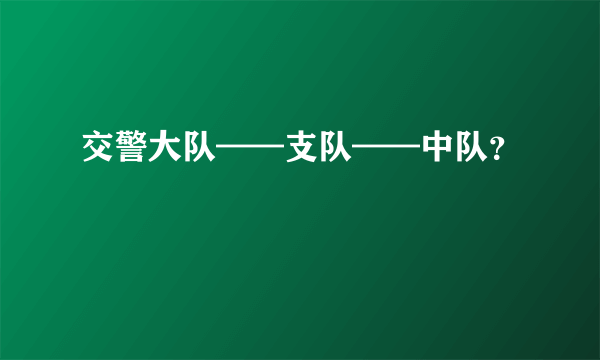 交警大队——支队——中队？