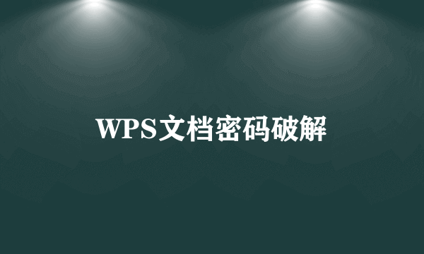 WPS文档密码破解