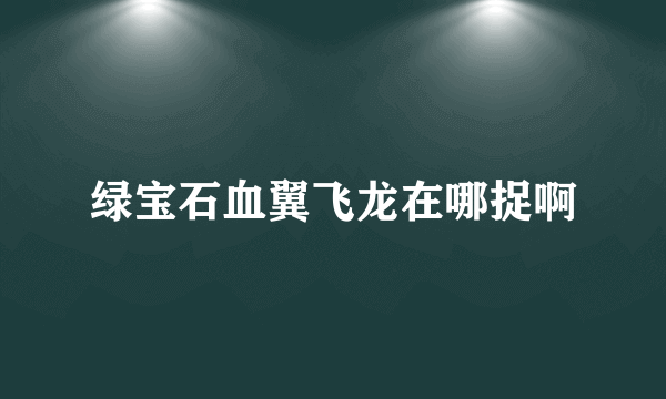 绿宝石血翼飞龙在哪捉啊