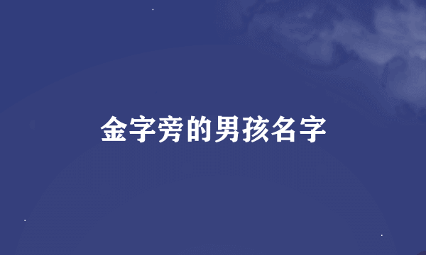 金字旁的男孩名字